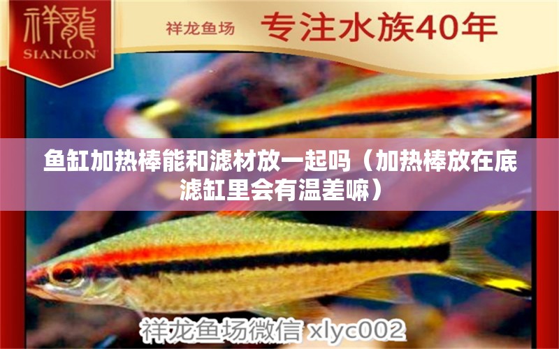 魚缸加熱棒能和濾材放一起嗎（加熱棒放在底濾缸里會有溫差嘛） 肺魚