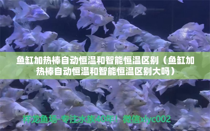 魚缸加熱棒自動(dòng)恒溫和智能恒溫區(qū)別（魚缸加熱棒自動(dòng)恒溫和智能恒溫區(qū)別大嗎）