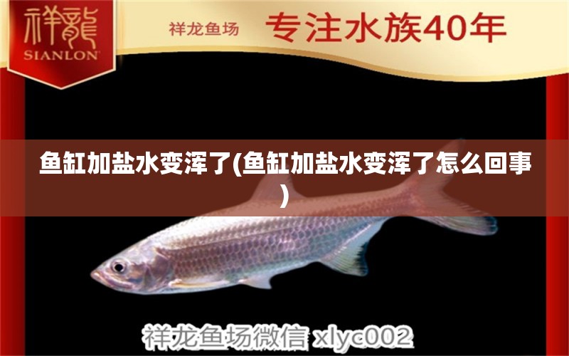 魚(yú)缸加鹽水變渾了(魚(yú)缸加鹽水變渾了怎么回事) 古典過(guò)背金龍魚(yú)