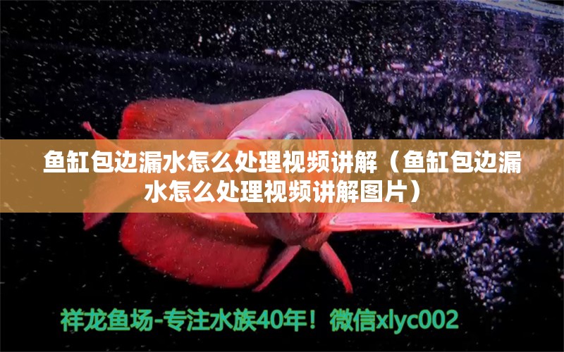 魚缸包邊漏水怎么處理視頻講解（魚缸包邊漏水怎么處理視頻講解圖片）