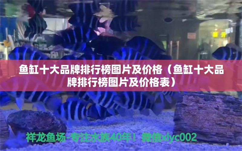 魚缸十大品牌排行榜圖片及價(jià)格（魚缸十大品牌排行榜圖片及價(jià)格表）