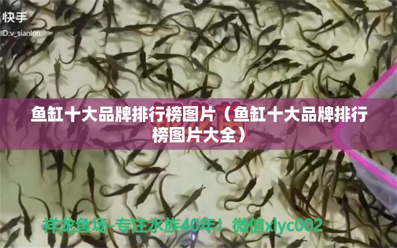 魚缸十大品牌排行榜圖片（魚缸十大品牌排行榜圖片大全） 其它水族用具設(shè)備