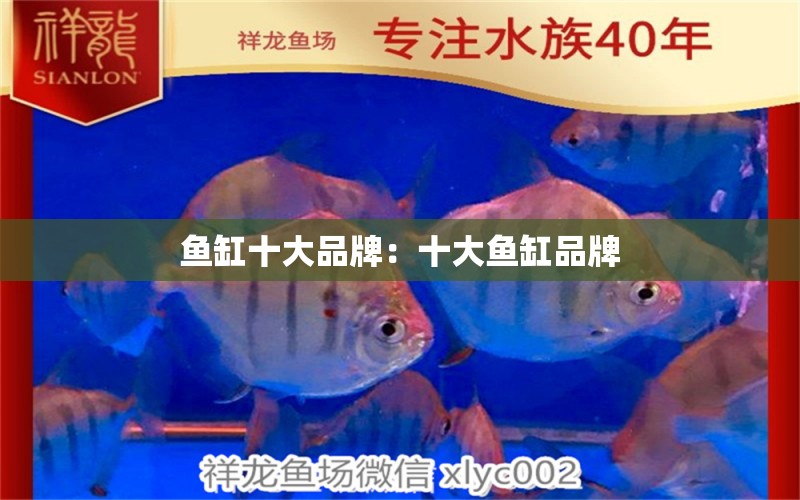 魚(yú)缸十大品牌：十大魚(yú)缸品牌 廣州龍魚(yú)批發(fā)市場(chǎng)