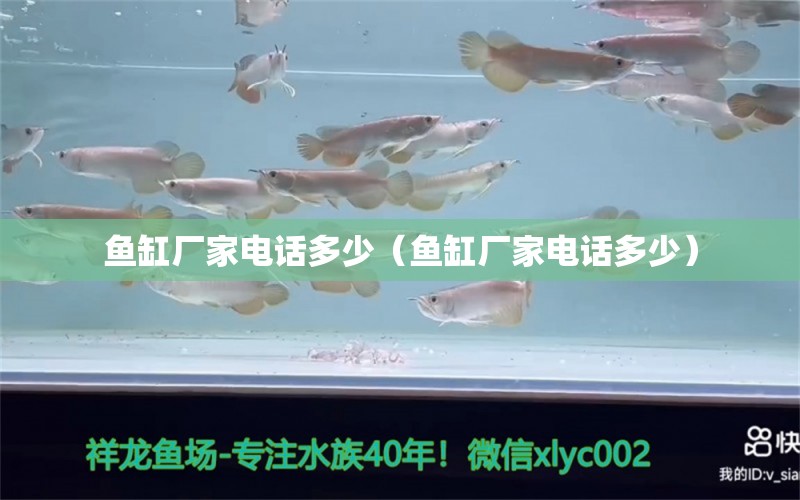 魚缸廠家電話多少（魚缸廠家電話多少） 其他品牌魚缸