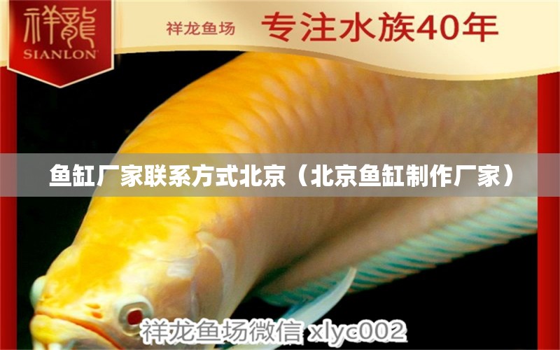 魚缸廠家聯(lián)系方式北京（北京魚缸制作廠家）