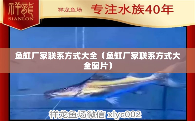 魚缸廠家聯(lián)系方式大全（魚缸廠家聯(lián)系方式大全圖片） 其他品牌魚缸