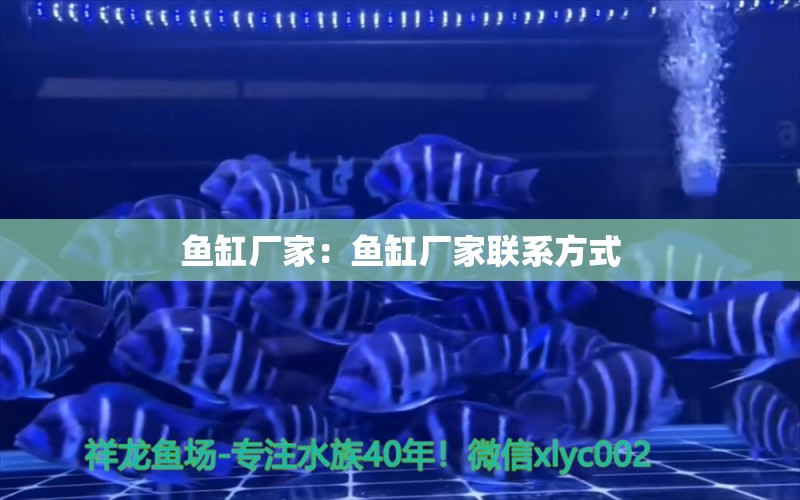 魚缸廠家：魚缸廠家聯(lián)系方式 廣州水族批發(fā)市場 第3張