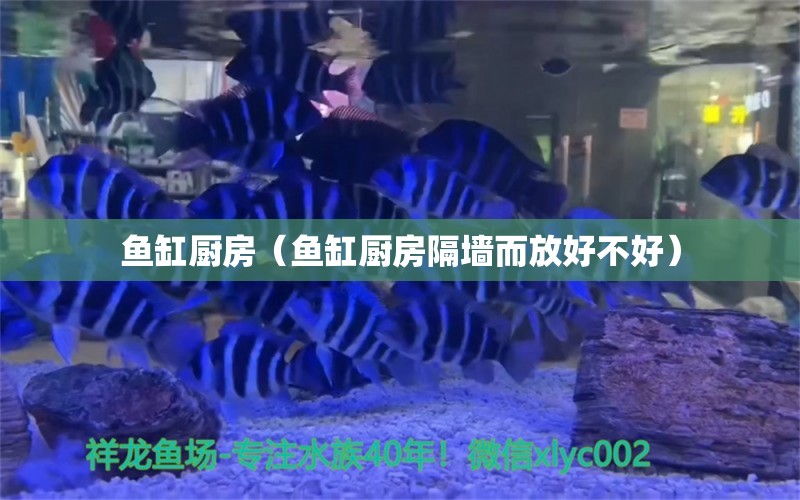 魚缸廚房（魚缸廚房隔墻而放好不好）