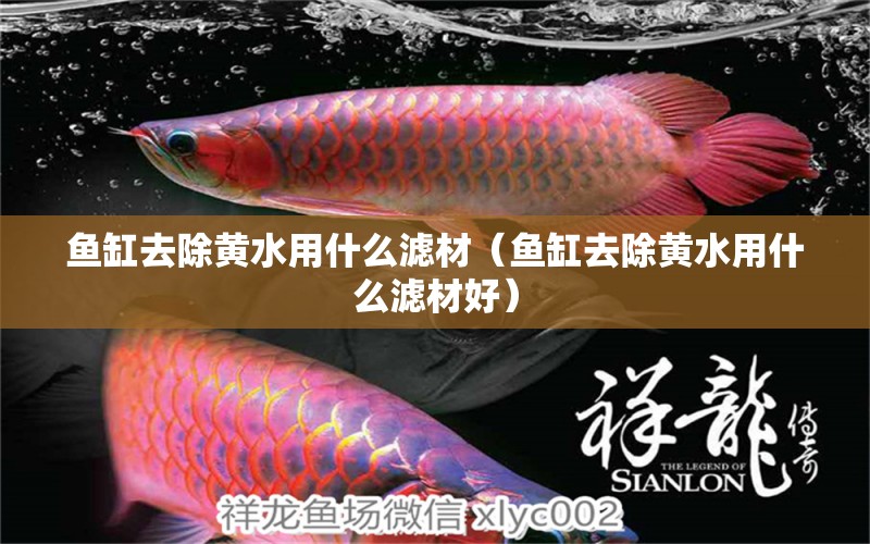 魚缸去除黃水用什么濾材（魚缸去除黃水用什么濾材好）