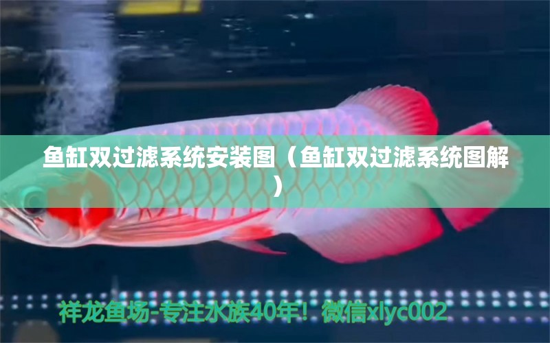 魚缸雙過濾系統(tǒng)安裝圖（魚缸雙過濾系統(tǒng)圖解）