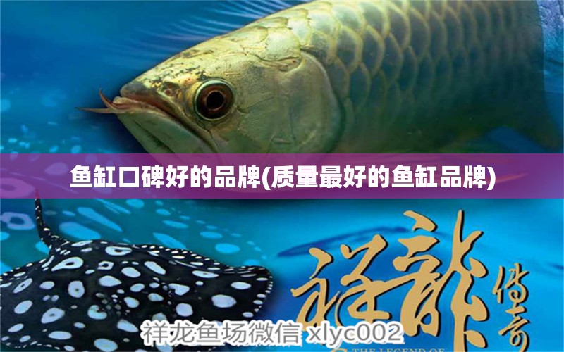 魚缸口碑好的品牌(質(zhì)量最好的魚缸品牌) 高背金龍魚