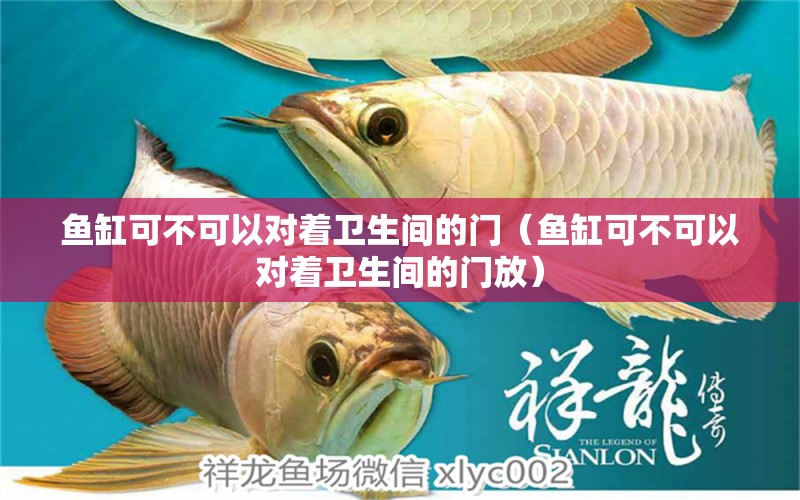 魚缸可不可以對(duì)著衛(wèi)生間的門（魚缸可不可以對(duì)著衛(wèi)生間的門放） 祥龍水族醫(yī)院