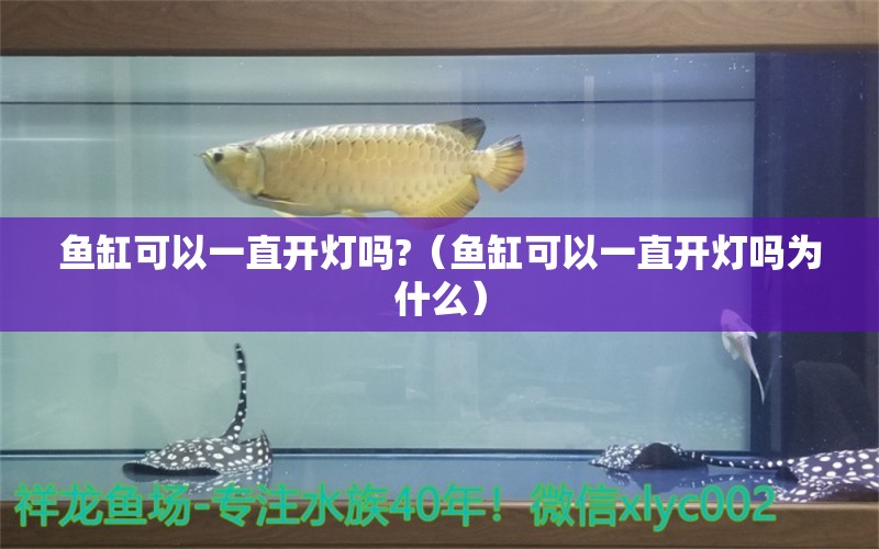 魚缸可以一直開燈嗎?（魚缸可以一直開燈嗎為什么）