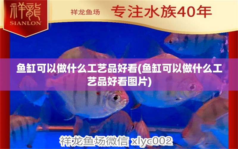 魚缸可以做什么工藝品好看(魚缸可以做什么工藝品好看圖片)