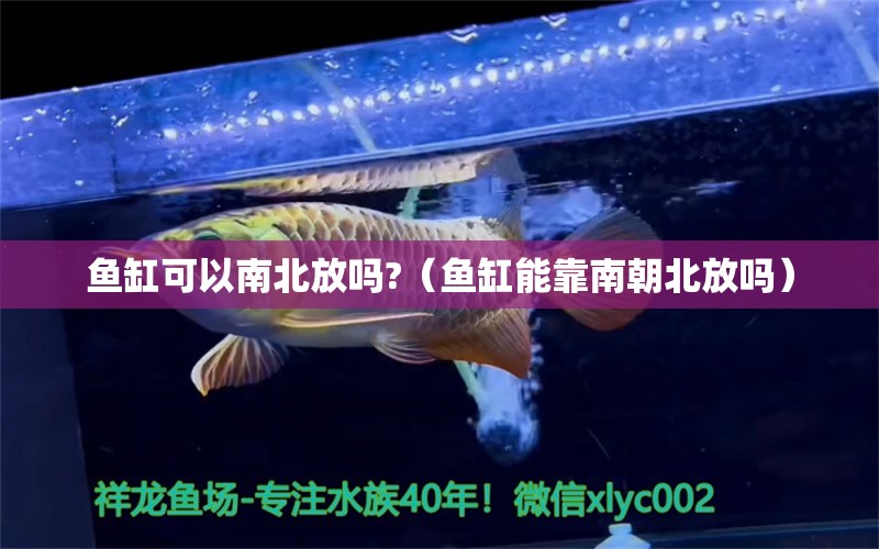 魚缸可以南北放嗎?（魚缸能靠南朝北放嗎）