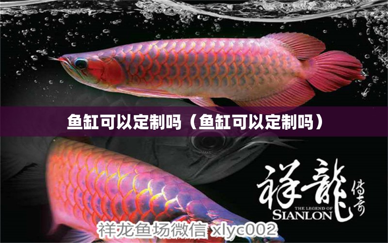 魚(yú)缸可以定制嗎（魚(yú)缸可以定制嗎）