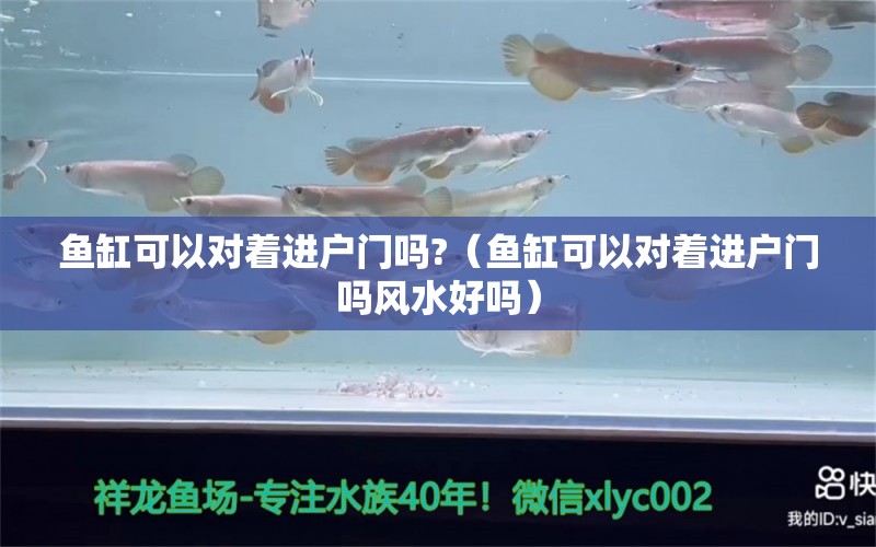 魚缸可以對著進戶門嗎?（魚缸可以對著進戶門嗎風水好嗎）