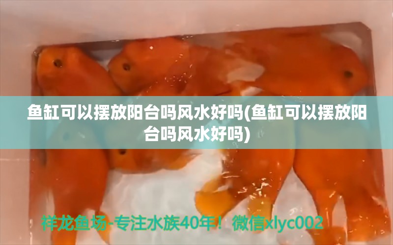 魚缸可以擺放陽臺嗎風(fēng)水好嗎(魚缸可以擺放陽臺嗎風(fēng)水好嗎) 魚缸風(fēng)水