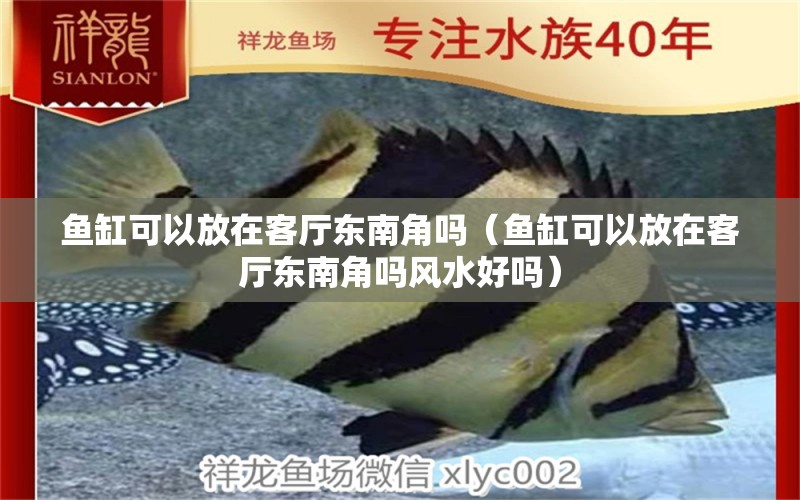 魚(yú)缸可以放在客廳東南角嗎（魚(yú)缸可以放在客廳東南角嗎風(fēng)水好嗎）