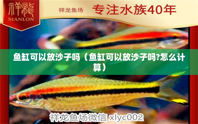 魚缸可以放沙子嗎（魚缸可以放沙子嗎?怎么計算）