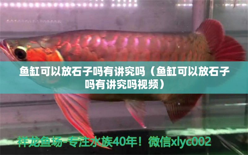 魚(yú)缸可以放石子嗎有講究嗎（魚(yú)缸可以放石子嗎有講究嗎視頻）