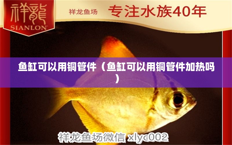 魚缸可以用銅管件（魚缸可以用銅管件加熱嗎）