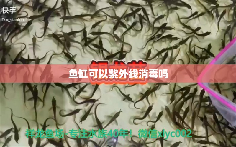 魚缸可以紫外線消毒嗎