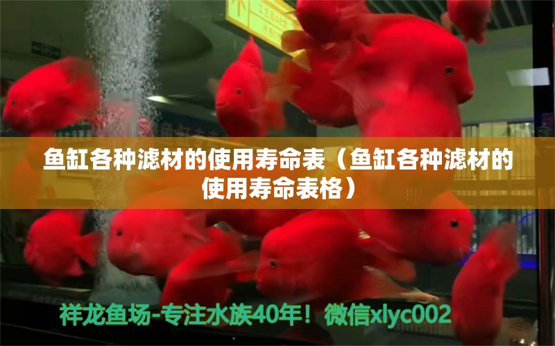 魚缸各種濾材的使用壽命表（魚缸各種濾材的使用壽命表格） 祥龍水族醫(yī)院