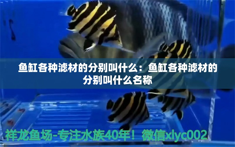 魚(yú)缸各種濾材的分別叫什么：魚(yú)缸各種濾材的分別叫什么名稱