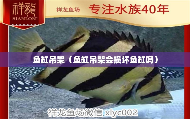 魚(yú)缸吊架（魚(yú)缸吊架會(huì)損壞魚(yú)缸嗎）