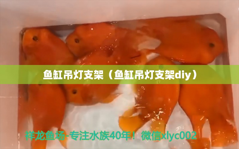 魚缸吊燈支架（魚缸吊燈支架diy）