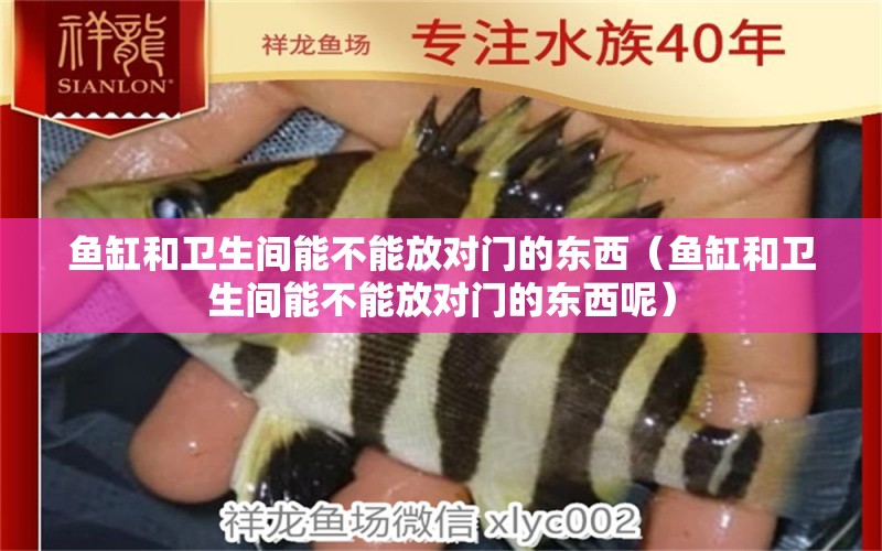 魚缸和衛(wèi)生間能不能放對(duì)門的東西（魚缸和衛(wèi)生間能不能放對(duì)門的東西呢）