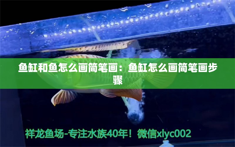 魚缸和魚怎么畫簡筆畫：魚缸怎么畫簡筆畫步驟