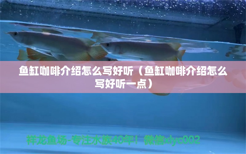 魚缸咖啡介紹怎么寫好聽（魚缸咖啡介紹怎么寫好聽一點）