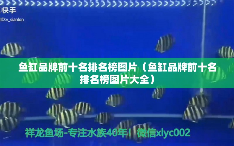 魚(yú)缸品牌前十名排名榜圖片（魚(yú)缸品牌前十名排名榜圖片大全）