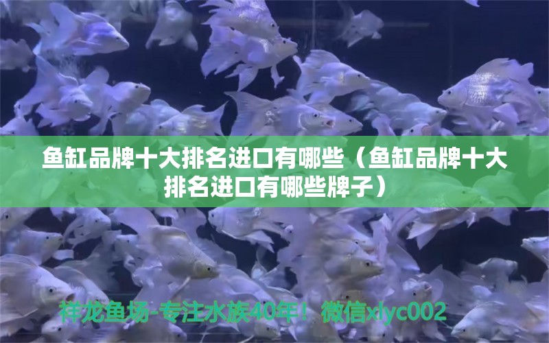 魚缸品牌十大排名進(jìn)口有哪些（魚缸品牌十大排名進(jìn)口有哪些牌子）