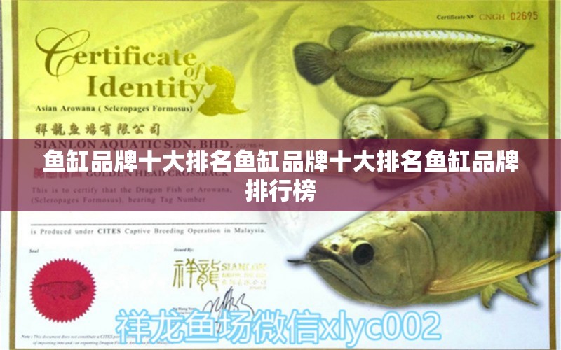 魚(yú)缸品牌十大排名魚(yú)缸品牌十大排名魚(yú)缸品牌排行榜