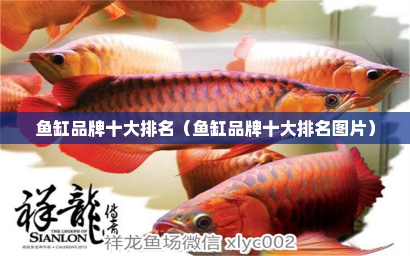 魚缸品牌十大排名（魚缸品牌十大排名圖片）