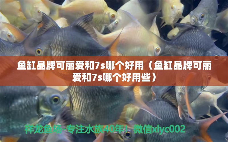 魚缸品牌可麗愛和7s哪個好用（魚缸品牌可麗愛和7s哪個好用些）