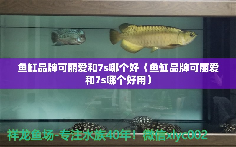 魚缸品牌可麗愛和7s哪個(gè)好（魚缸品牌可麗愛和7s哪個(gè)好用）