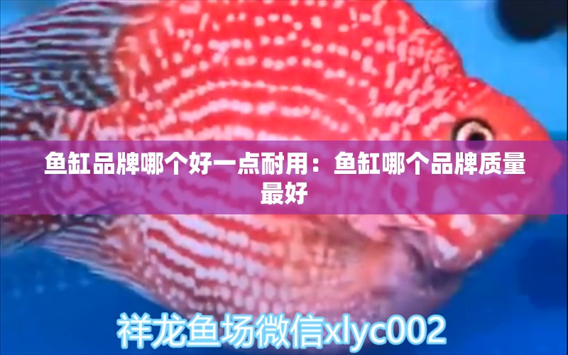 魚缸品牌哪個好一點耐用：魚缸哪個品牌質(zhì)量最好 廣州龍魚批發(fā)市場