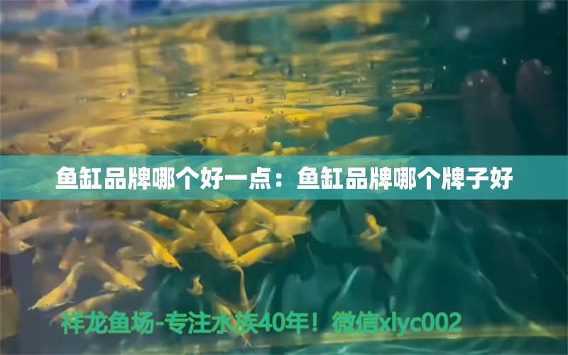 魚(yú)缸品牌哪個(gè)好一點(diǎn)：魚(yú)缸品牌哪個(gè)牌子好