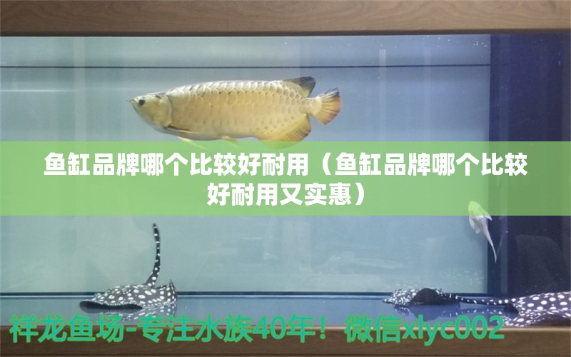 魚缸品牌哪個比較好耐用（魚缸品牌哪個比較好耐用又實惠）