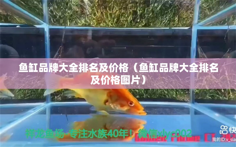 魚缸品牌大全排名及價格（魚缸品牌大全排名及價格圖片）