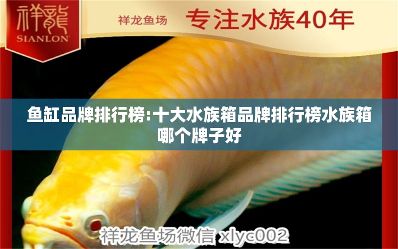 魚(yú)缸品牌排行榜:十大水族箱品牌排行榜水族箱哪個(gè)牌子好