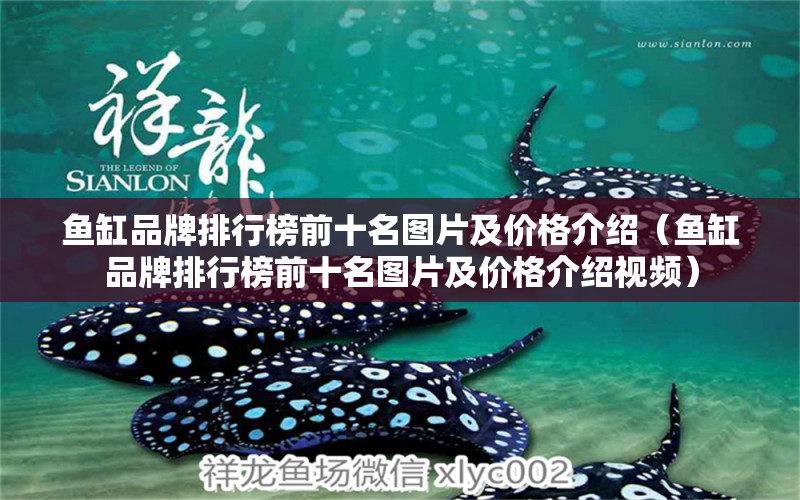 魚缸品牌排行榜前十名圖片及價格介紹（魚缸品牌排行榜前十名圖片及價格介紹視頻）