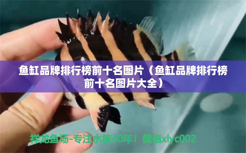 魚(yú)缸品牌排行榜前十名圖片（魚(yú)缸品牌排行榜前十名圖片大全）