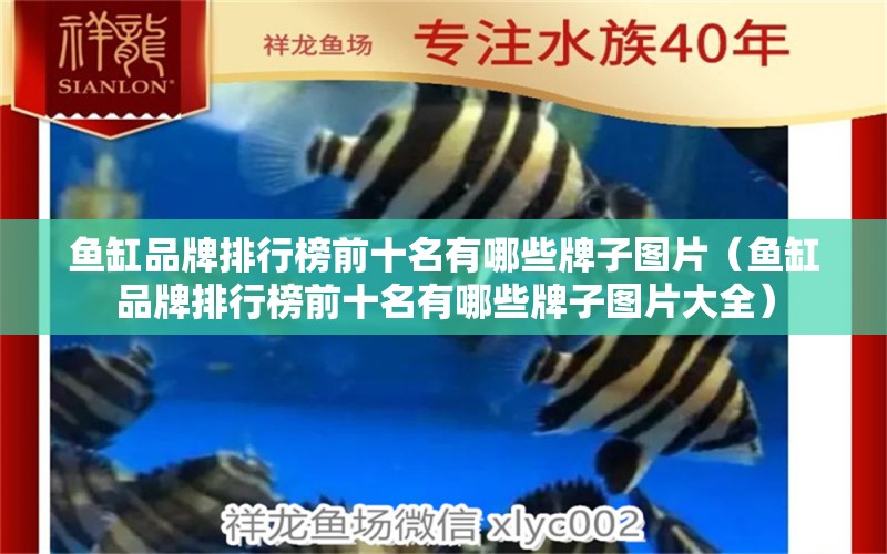 魚缸品牌排行榜前十名有哪些牌子圖片（魚缸品牌排行榜前十名有哪些牌子圖片大全）