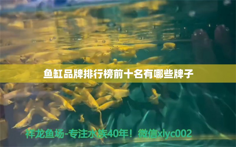 魚缸品牌排行榜前十名有哪些牌子