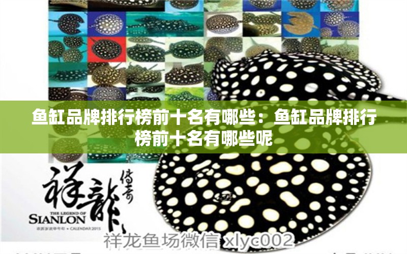 魚缸品牌排行榜前十名有哪些：魚缸品牌排行榜前十名有哪些呢